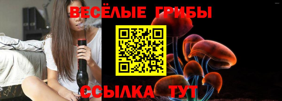 Шелехов  Псилоцибиновые грибы GOLDEN TEACHER  Вход с VPN  Галлюциногенные грибы MAGIC MUSHROOMS 